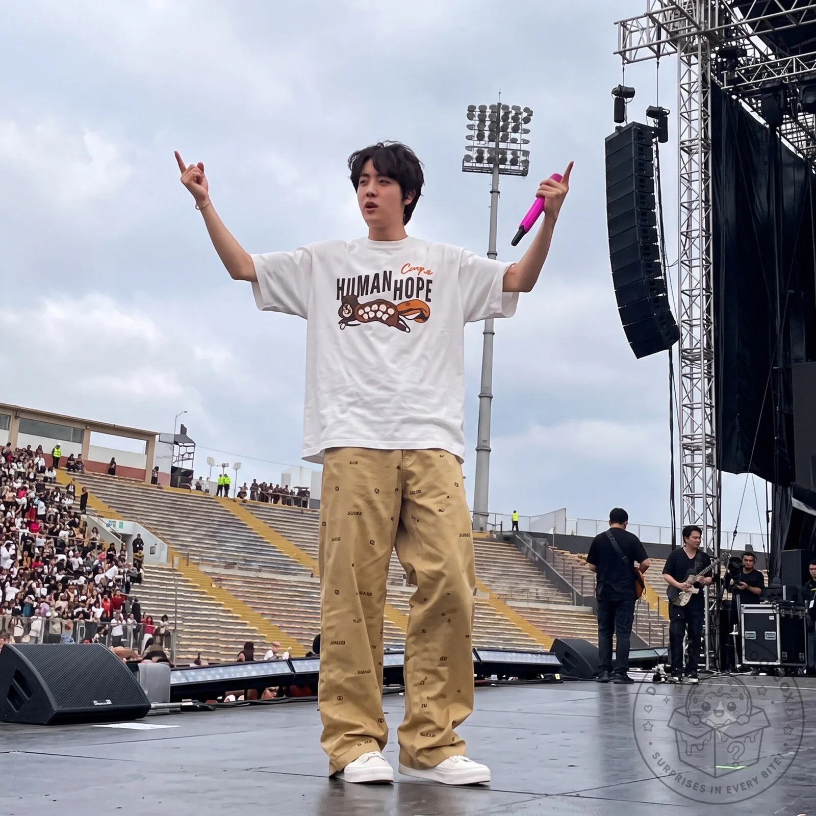 Bts Jin wearing Human Made Human Hope graphic T-shirt